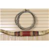 Image 3 : Longhorn Steer Horns