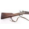 Image 5 : Remington 1901 Rolling Block 7mm NVSN