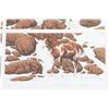 Image 2 : Bev Doolittle Fine Art Composite Print