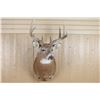 Image 1 : 4x4 Buckmount Mount