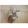 Image 2 : 4x4 Buckmount Mount