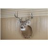 Image 3 : 4x4 Buckmount Mount