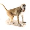 Image 3 : Full Body Baboon Taxidermy Mount