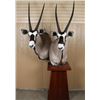Image 1 : African Game Animal Mount