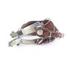 Image 1 : Pair of Stainless Crockett Spurs