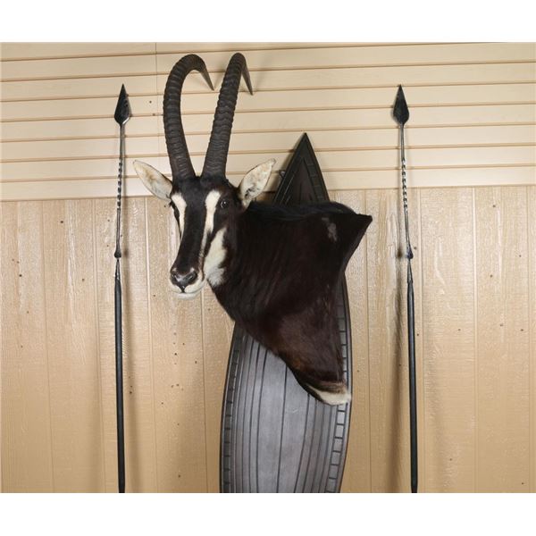 African Game Animal Mount