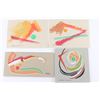 Image 1 : Lot of 4 Gouache Pieces