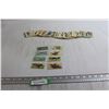 Image 1 : (20+) Songbirds of North America Cards