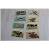Image 2 : (20+) Songbirds of North America Cards