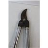 Image 2 : Tree Trimmer, Hand Saw