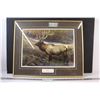 Image 1 : 1988 Saskatchewan Wildlife Art Program "Elk" 23" x 18" Framed Print