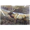Image 2 : 1988 Saskatchewan Wildlife Art Program "Elk" 23" x 18" Framed Print