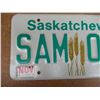 Image 2 : 1982 Saskatchewan Sample License Plate