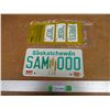 Image 1 : 1986 Saskatchewan Sample License Plate