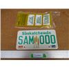 Image 1 : 1988 Saskatchewan Sample License Plate