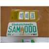 Image 1 : 1991 Saskatchewan Sample License Plate