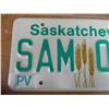 Image 2 : 1991 Saskatchewan Sample License Plate