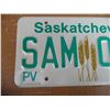 Image 2 : 1992 Saskatchewan Sample License Plate
