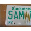 Image 2 : 1993 Saskatchewan Sample License Plate