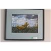 Image 1 : Framed Watercolor Picture - 21"x17.56"