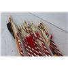 Image 3 : (12) Archery Arrows