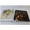 Image 1 : (2) Vinyl Records - Cheap Trick