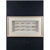 Image 1 : Nice Wood Framed & Glass,  Sea Shell Display  Shadow Box. NO SHIPPING. Approx. 27 1/2" x 15 3/4" x 2
