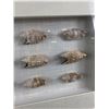 Image 3 : Nice Wood Framed & Glass,  Sea Shell Display  Shadow Box. NO SHIPPING. Approx. 27 1/2" x 15 3/4" x 2