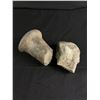 Image 1 : Lot of 2 West Coast Native Rock Tools Found on The Fraser River Years ago