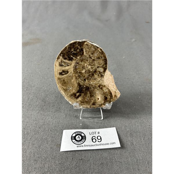 Ammonite Fossil (Morocco) MSRP $380.00