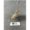 Image 2 : Ammonite Fossil (Morocco) MSRP $380.00