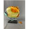 Image 4 : Lot Of Colourful Tropical Fish Décor