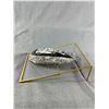 Image 2 : 7" Orthoceras Fossil Specimen MSRP $500.00