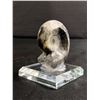 Image 2 : Ammonite Othoceras Fossil MSRP $249.00