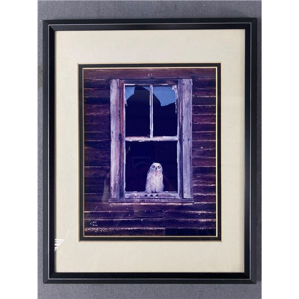 Framed Wanda & Bill Keay Photograph "Baby Great Horned Owl In Abandon Farm House" Signed On Back