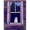 Image 2 : Framed Wanda & Bill Keay Photograph "Baby Great Horned Owl In Abandon Farm House" Signed On Back