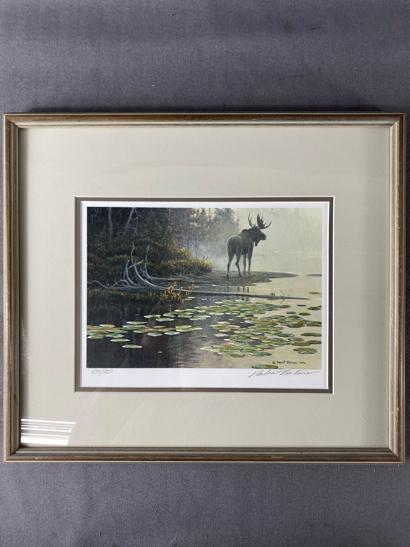 Bateman Moose Framed Ltd Ed. 479/950 Robert Bateman