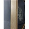 Image 3 : Shadow Box w/ Basket Star Marine Invertebrate. NO SHIPPING Approx. 20" x 20" x 2 1/2"