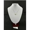 Image 1 : Sterling Silver Pendant w/ Chain Marked Rolf
