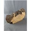 Image 5 : Wood Décor - Wolf Burl Plaque & 2 Woodland Plaques