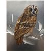 Image 2 : Framed Foil Owl Print. Approx. 11" x 14"