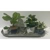 Image 1 : ARTIFICIAL PLANT CENTERPIECE W VASE