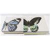 Image 1 : 2 PUNCH STUDIO BUTTERFLY DECORATIVE BOXES