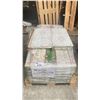 Image 2 : PALLET OF POLISA 12 X 24 PORCELAIN TILES IN BASILICA FLORAL APPROX 12SQ.FT. PER BOX, APPROX 16