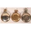 Image 2 : Elgin Pocket Watches  [181384]