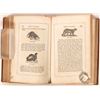 Image 8 : California History Book Pair  [182226]