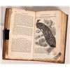 Image 8 : Natural History of the Globe... by Wright, 1831  [181643]