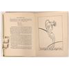 Image 8 : Fairies Books, 4  [179394]