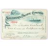 Image 1 : Southern Pacific Co pass, 1900  [179524]