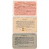 Image 2 : Yosemite Valley RR Co passes, 1922-25  [182691]